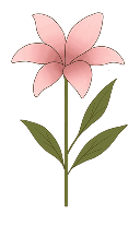 Jasmine